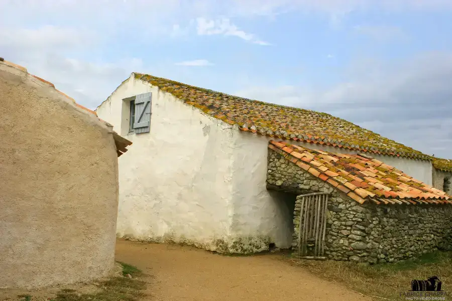 Vue aérienne sur le réseau de canaux du Marais Poitevin en Vendée